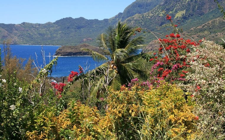 Végétation et panorama sur la baie de Taʻa ʻOa à Hiva Oa, eaux bleues et montagnes des Marquises.