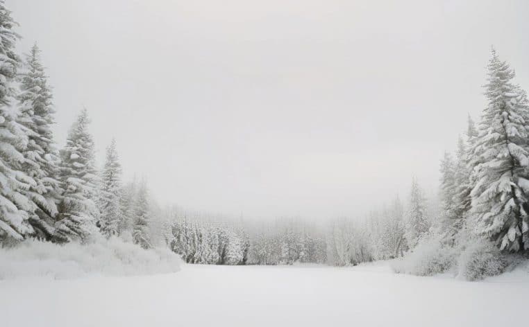 Noël neige froid actu