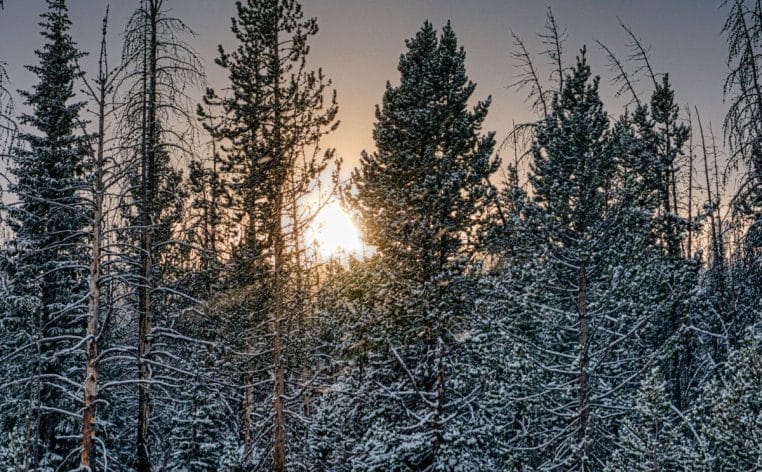 Noël neige froid actu