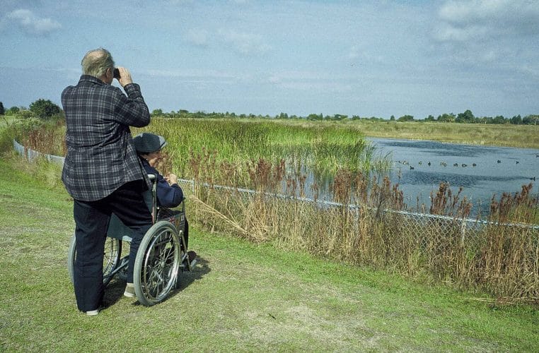 Couple âgé sur une promenade en bord de mer, l’un en fauteuil roulant, contemplant ensemble le littoral