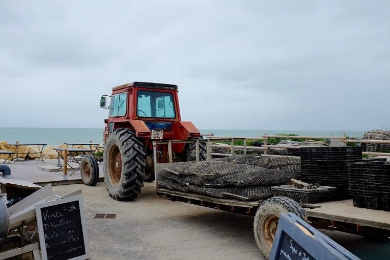 Scène d’ostréiculture sur l’Île de Ré avec matériel et tracteur près des parcs, ciel d’hiver et horizon marin.