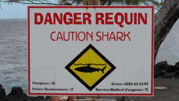 Panneau d’alerte « danger requin » à La Réunion, installé en bord de mer, avec l’océan en arrière-plan.