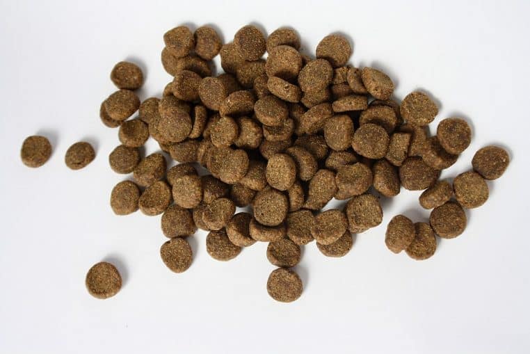 Gros plan horizontal sur un tas de croquettes pour chien, texture nette, lumière naturelle.