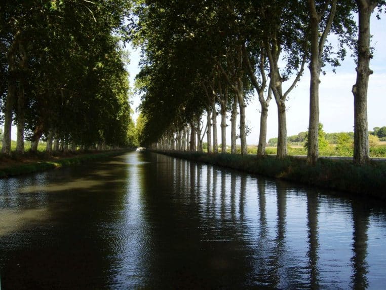 Canal du Midi bordé de platanes alignés des deux côtés, leurs troncs se reflétant dans l’eau calme sous la lumière d’été.