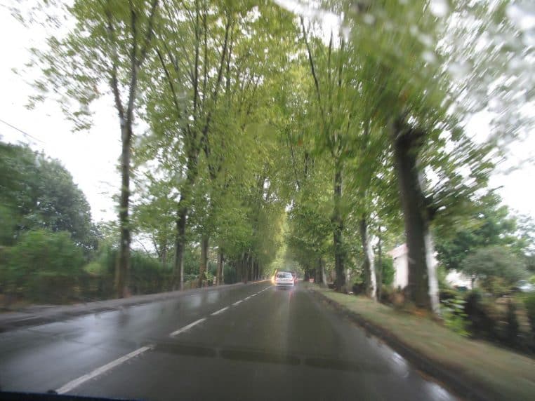 Route nationale bordée de deux rangées de platanes formant un tunnel d’ombre à l’entrée d’une petite ville des Landes.