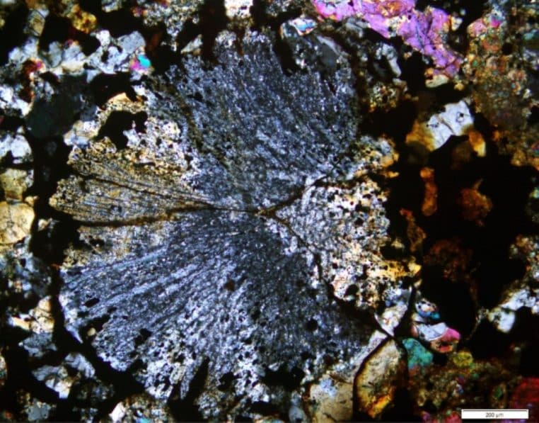 Image microscopique en fausses couleurs montrant un chondrule circulaire au cœur d’une matrice minérale, témoignage figé de la matière du système solaire naissant.