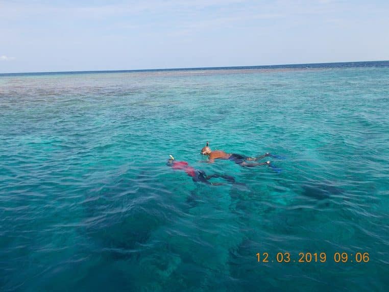 Deux snorkeleurs avancent côte à côte dans les eaux turquoise des Maldives, au-dessus d’un récif corallien peu profond en pleine mer.