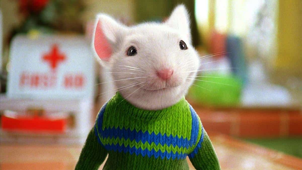 Stuart Little Verite