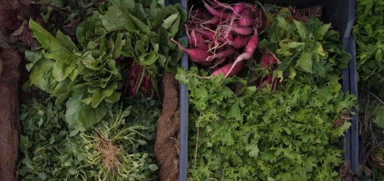 Vue du dessus de cagettes de légumes verts et roses sur un marché, prêts à être achetés en juste quantité