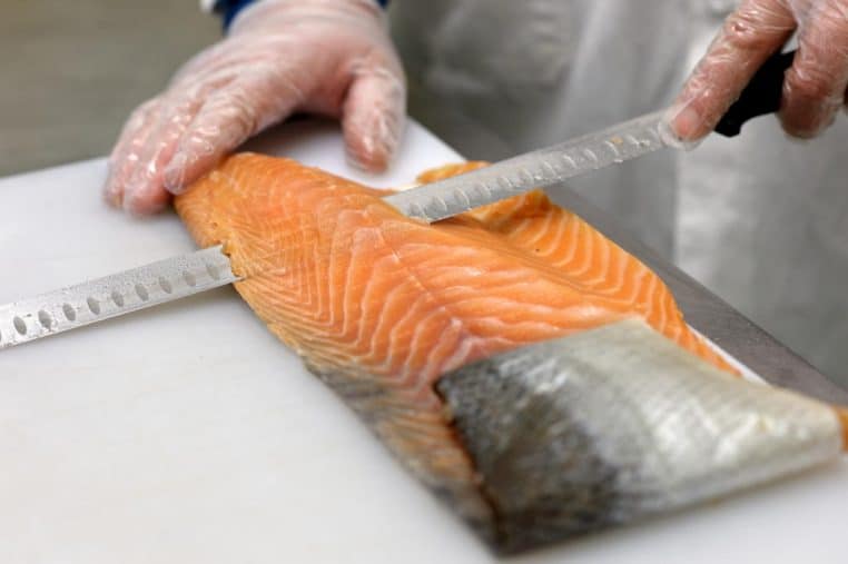 attention saumon contaminé pour fin dannee