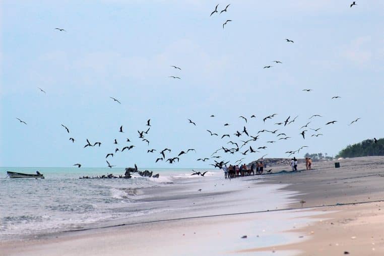 Plage du Panama avec vol d’oiseaux marins au-dessus des vagues, bateau de pêche et groupe de personnes rassemblées près de l’eau