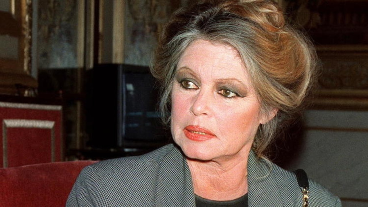 brigitte bardot @dr