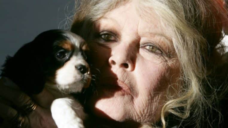 brigitte bardot animaux @afp