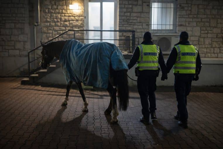 Cheval brun sous couverture bleue, escorté par deux policiers dans une cour éclairée à l’aube à Dole