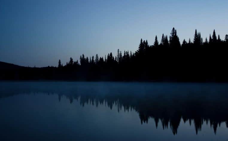 forêt perdu retrouvé homme actualité