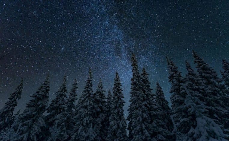 forêt perdu retrouvé homme actualité