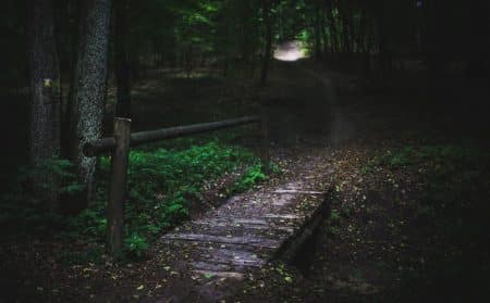 forêt perdu retrouvé homme actualité