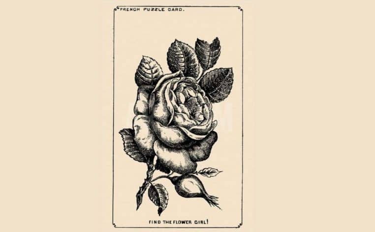 illusion d'optique actu