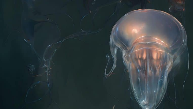 Illustration détaillée de plusieurs méduses aux tentacules lumineux évoluant dans les grands fonds, sur fond bleu nuit légèrement brumeux.