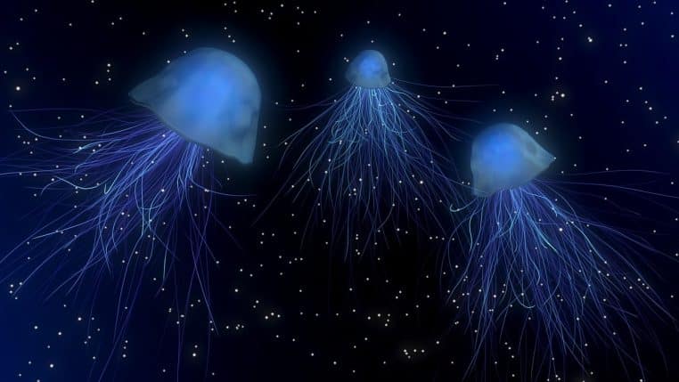 Illustration de méduses stylisées flottant dans une eau profonde, avec des ombrelles lumineuses et de longs filaments incandescents.