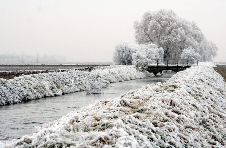 Canal de campagne entouré de talus givrés et d’arbres entièrement blancs, sous un ciel gris laiteux typique d’un matin de gel intense.
