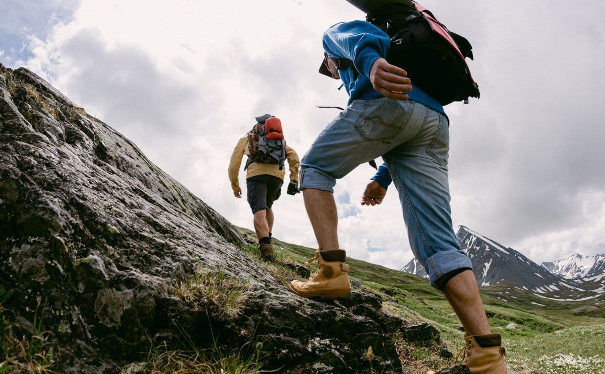montre connectée randonneur ours actualité