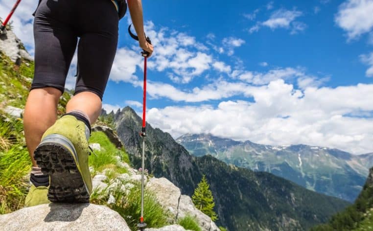 montre connectée randonneur ours actualité
