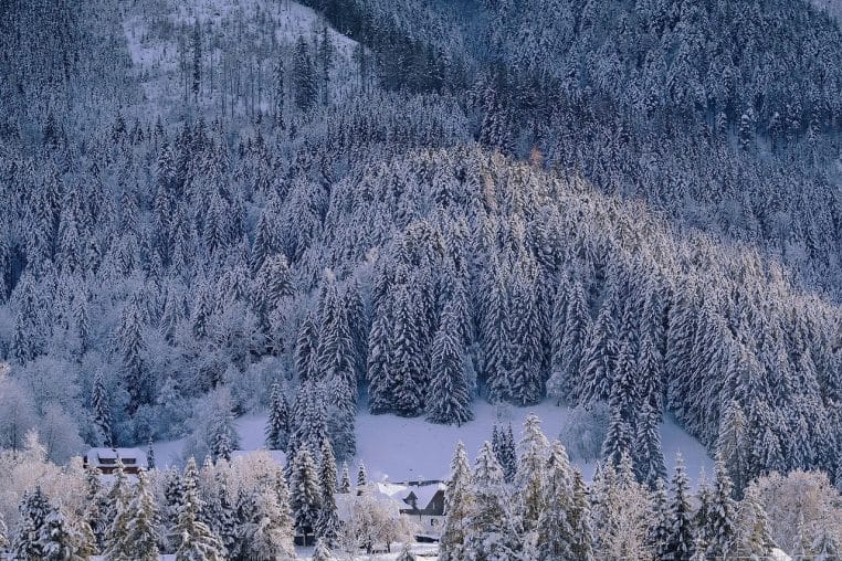 Forêt de sapins et chalets de montagne entièrement enneigés en fond de vallée, pentes couvertes d’un manteau blanc homogène