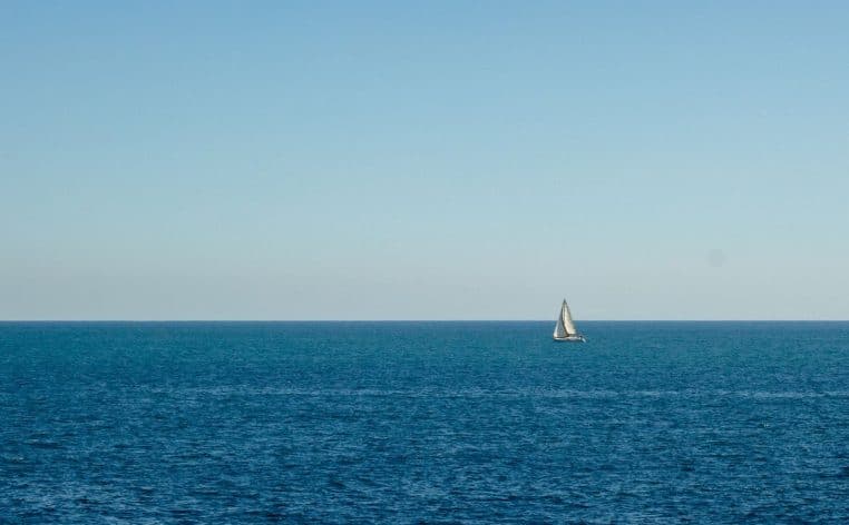 mystère créature poisson échoué sable scientifiques actualité