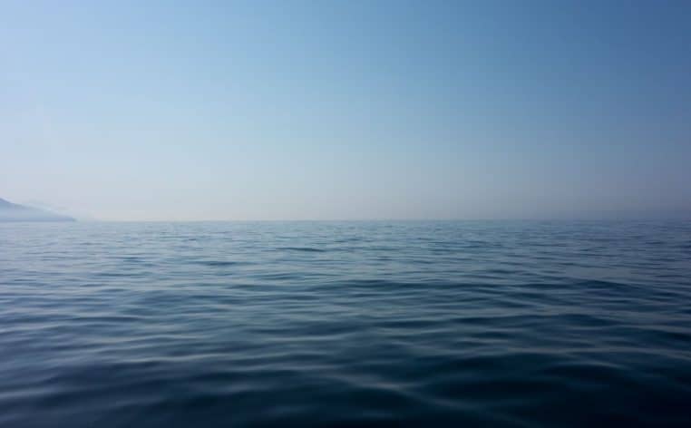 mystère créature poisson échoué sable scientifiques actualité