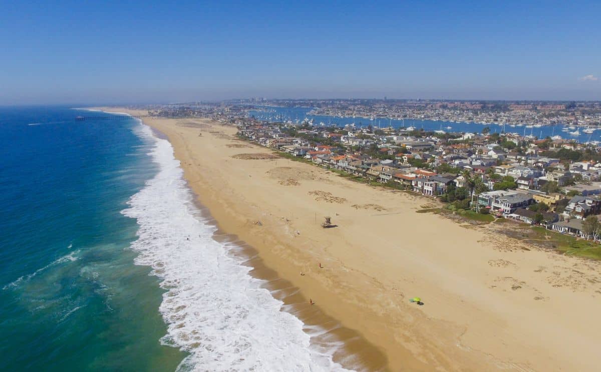 mystère créature poisson échoué sable scientifiques actualité