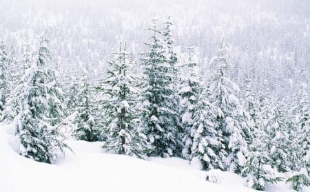 neige météo