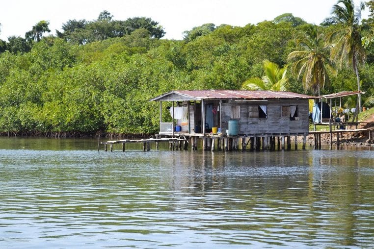 Petite maison en bois sur pilotis au bord d’une mangrove verdoyante au Panama, construite au-dessus d’une eau calme et réfléchissante