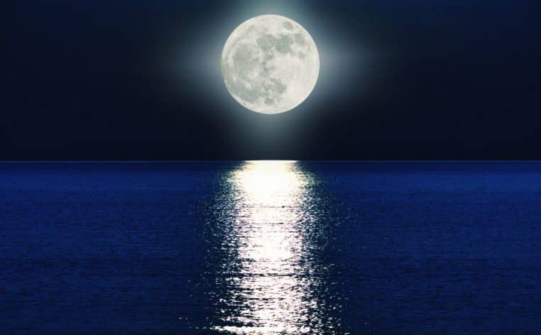 pleine lune signe astrologique loup actu