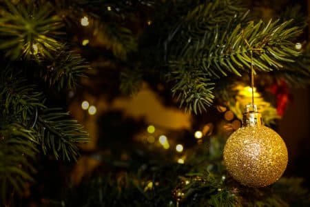 Que faire de son sapin ?