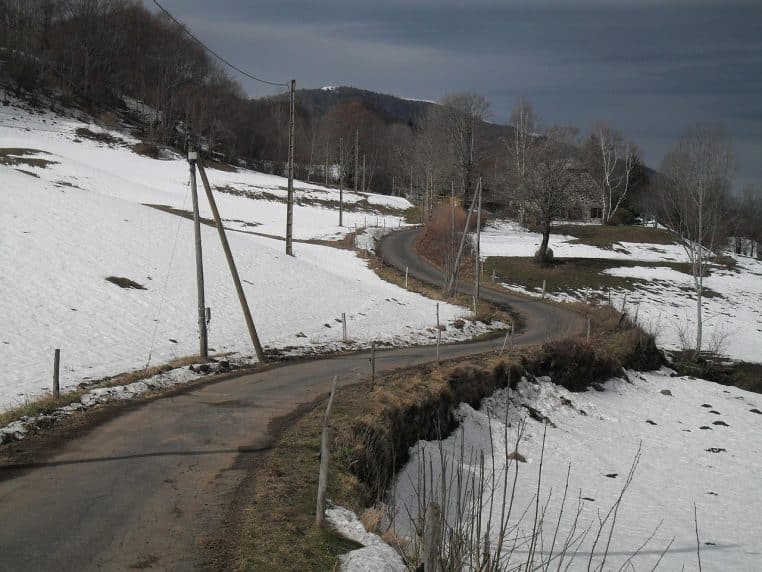 Route de campagne recouverte de neige bordée d’arbres nus, traversant un paysage hivernal désert et immobile au petit matin.