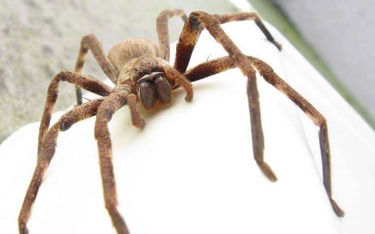 un adolescent se fait piquer sur la jambe - copie