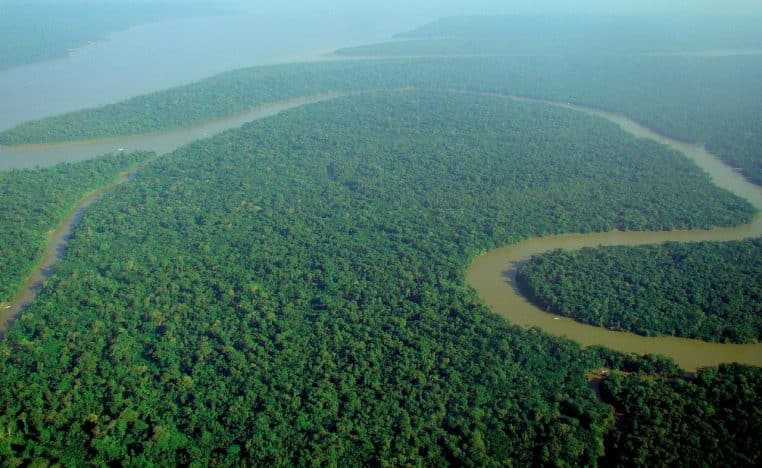 Vue aérienne de la forêt amazonienne et d’un méandre du rio Solimões, vaste canopée verte à perte de vue.