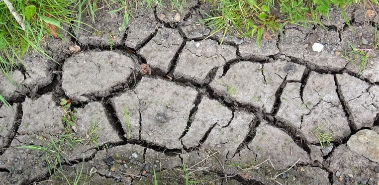 Sol très sec et craquelé, fissures serrées formant un réseau sur une terre argileuse.