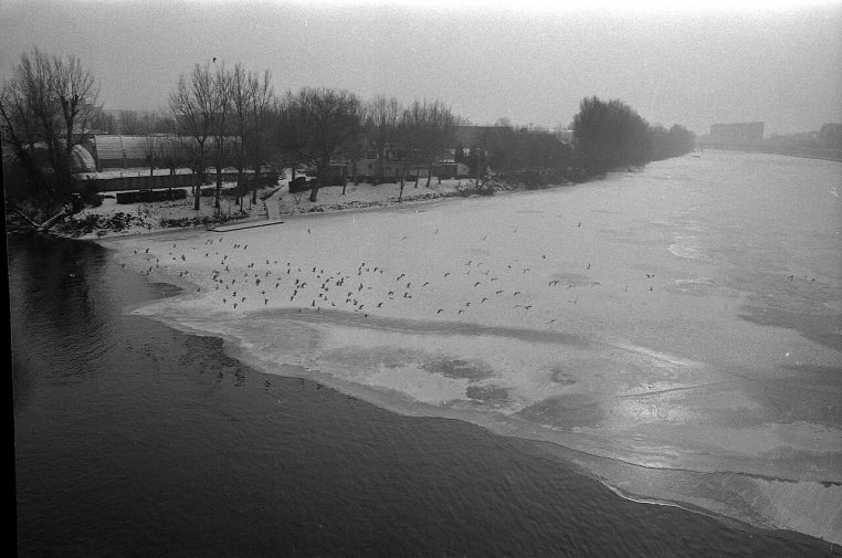 Garonne partiellement gelée à Toulouse, 15 janvier 1985, oiseaux posés sur la glace et courant sombre au bord.
