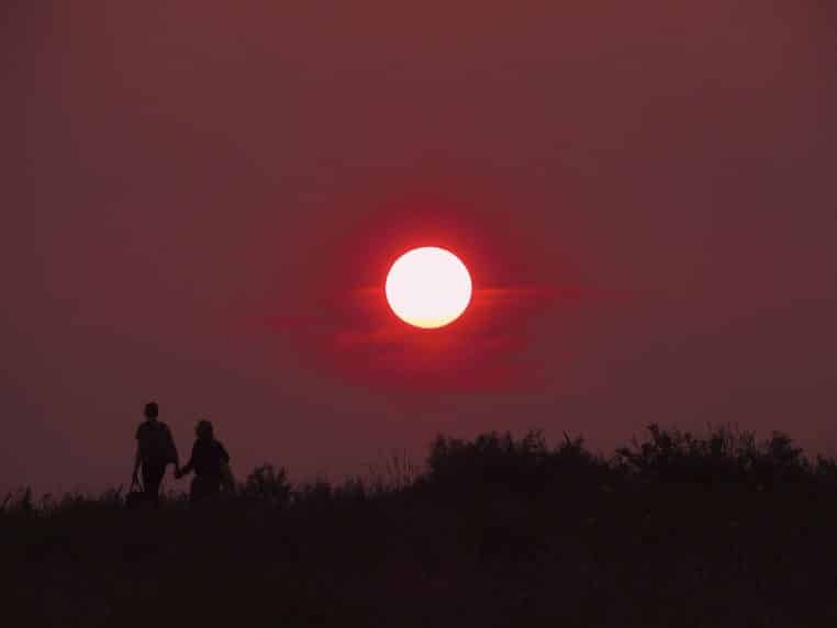 sunset, red, few, love, together, nature, two, friendship