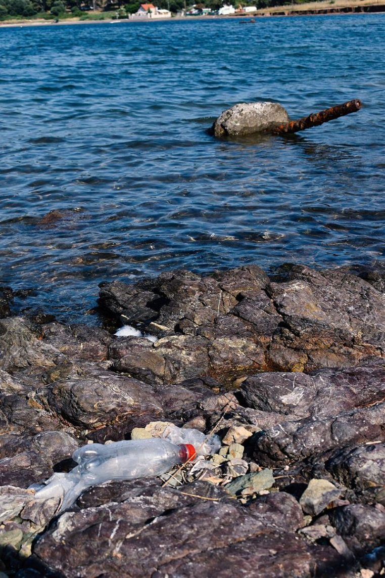 Bouteille en plastique dans l’eau, symbole de présence humaine et de pollution.