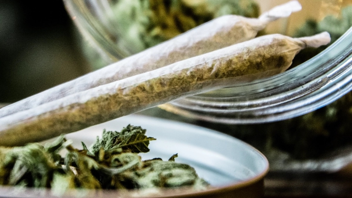 Cannabis Sevrage Effets