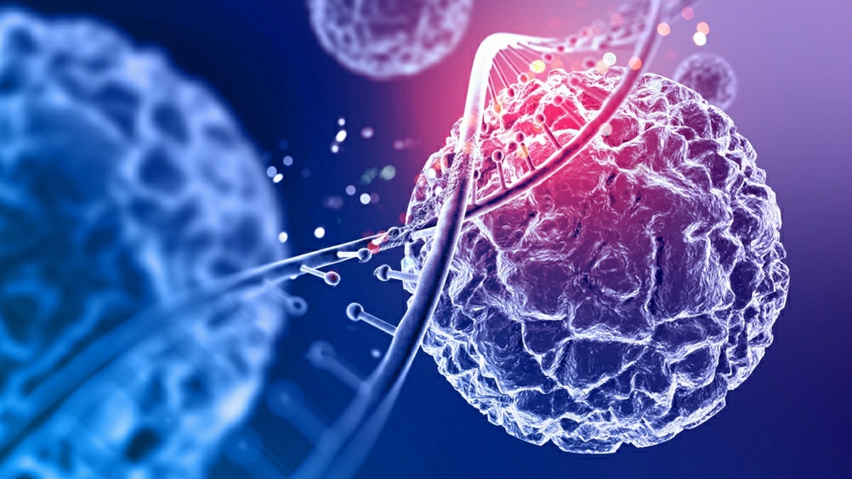 Cellules Saines Secret