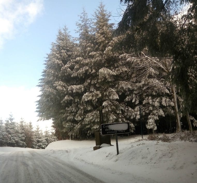 Rue parisienne enneigée, voitures et trottoirs blanchis au petit matin.