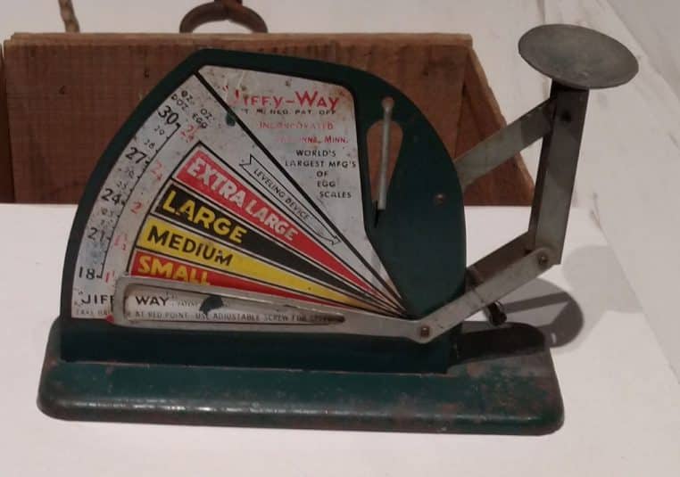 Balance de calibration utilisée pour classer les œufs par taille, avec l’indicateur de catégorie visible.