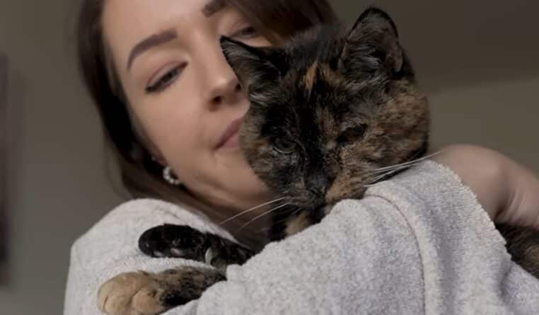 Flossie chatte la plus vieille du monde