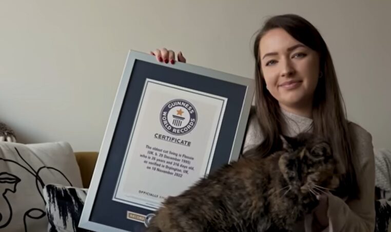 Flossie chatte la plus vieille du monde