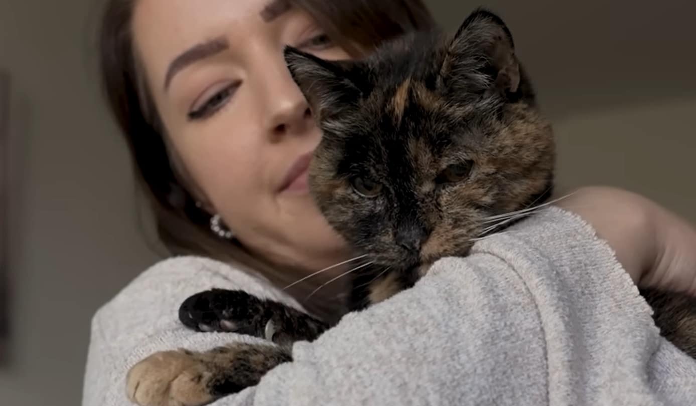 Flossie chatte la plus vieille du monde