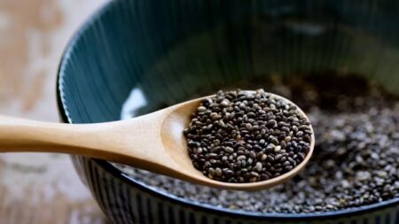 Graines-de-Chia-Bienfaits